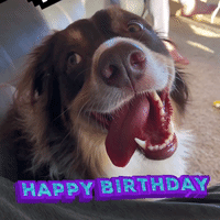 Happy Birthday Love GIF by Yevbel - Find & Share on GIPHY